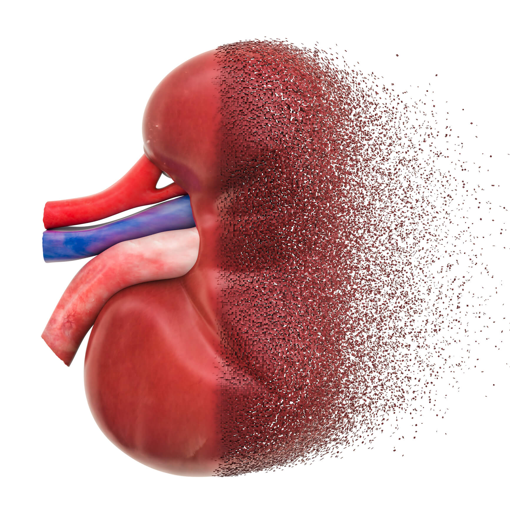 Kidney Failure Prevention: The Secret Membrane - xb0yp6h